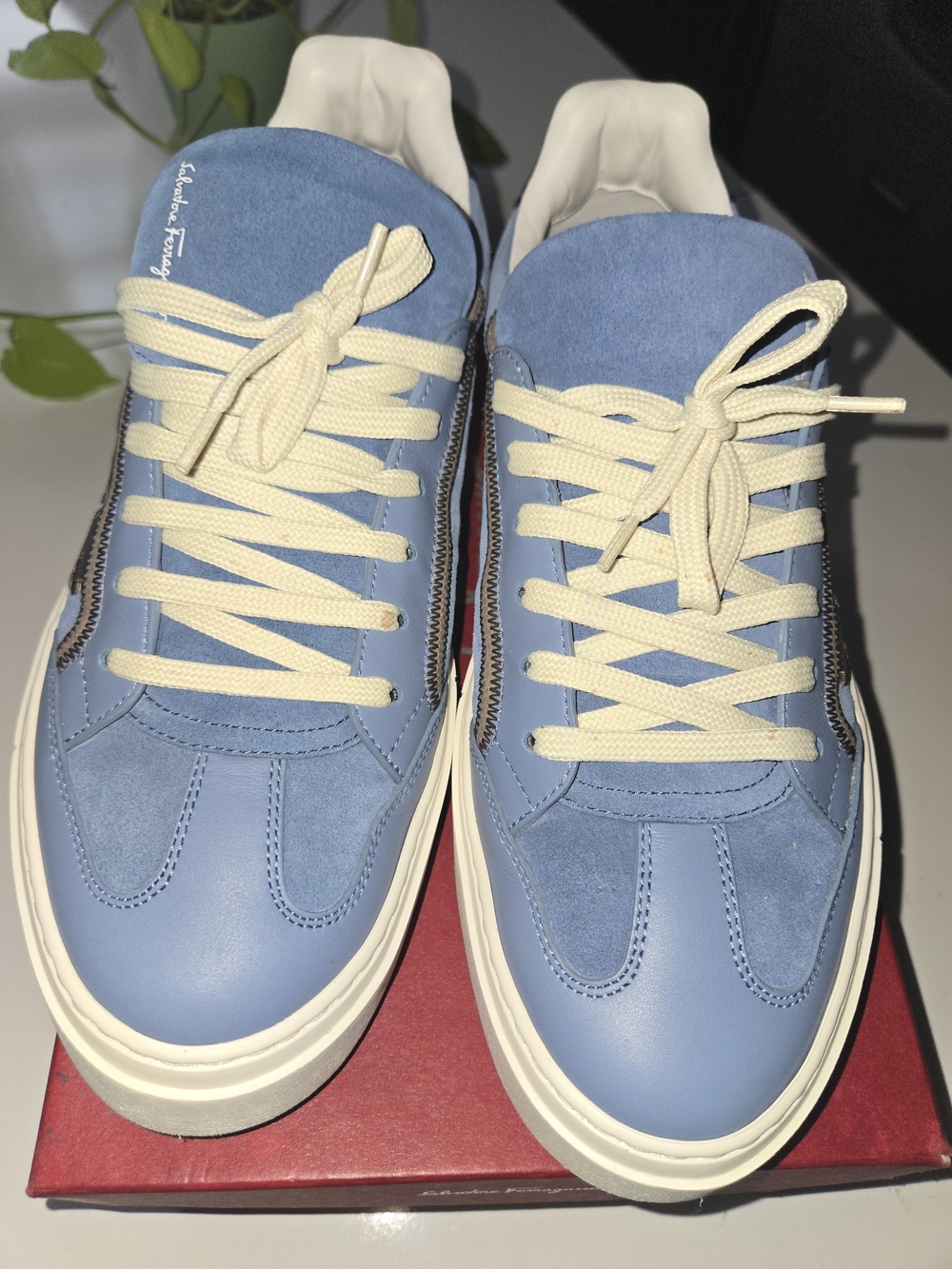 Salvatore Ferragamo Light Blue Leather & Suede Sneakers with Cream Laces